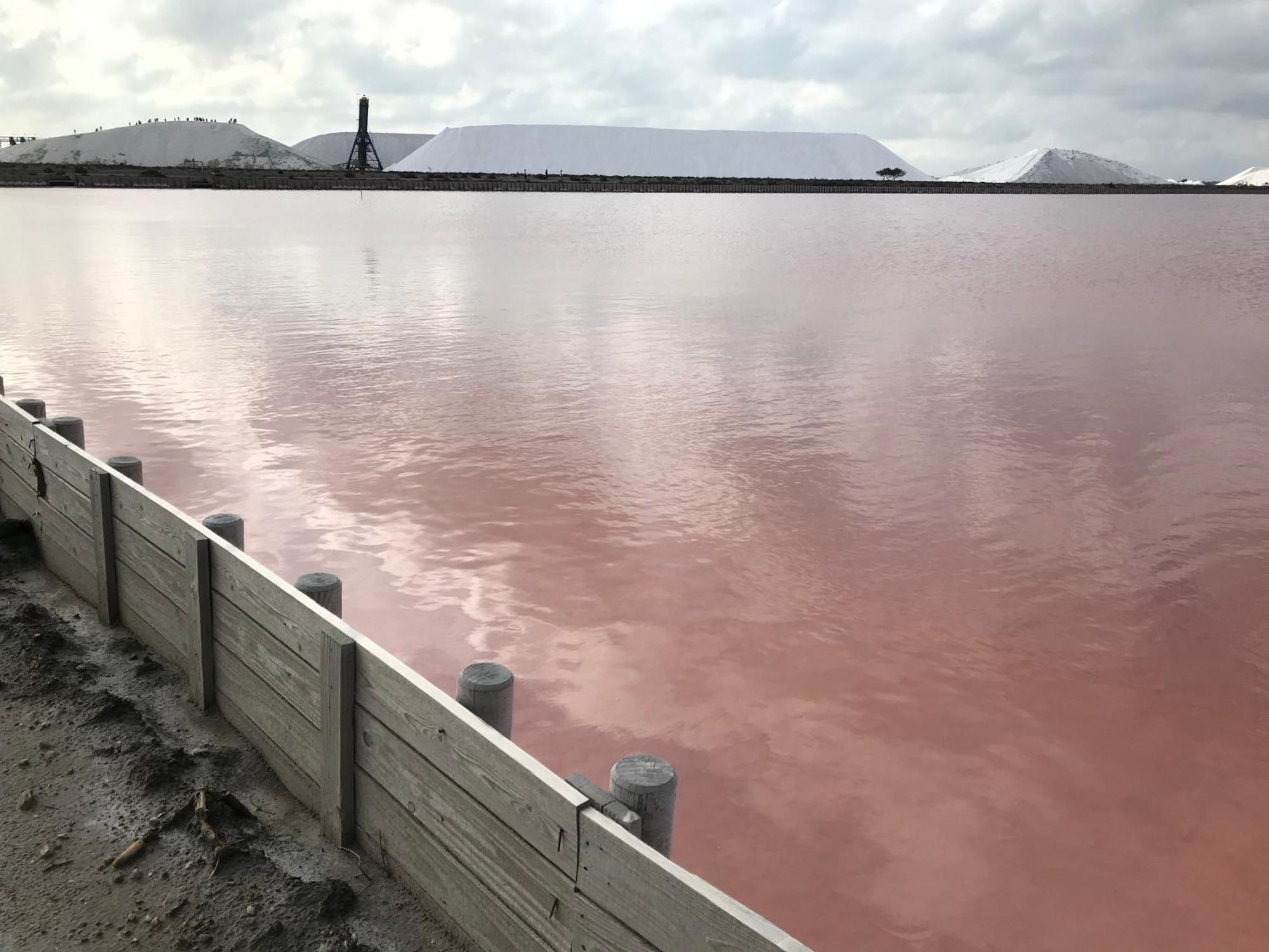 Le Clos Des Vignes Жуна Экстерьер фото